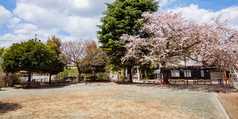 鳩ヶ谷本町ふれあい広場